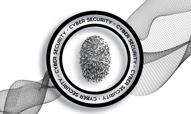 Cyber Security Logo